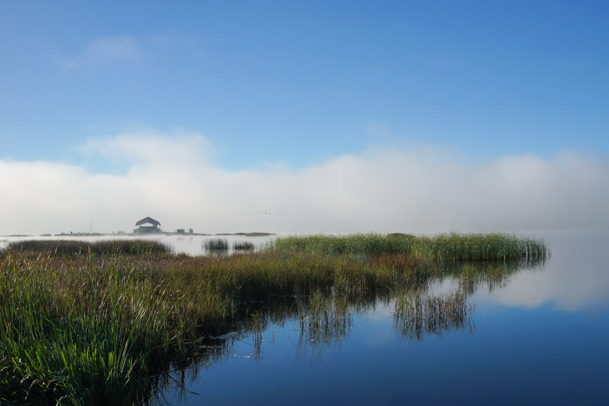 Debesis sākas uz zemes